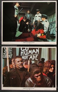 9g429 CONQUEST OF THE PLANET OF THE APES 7 LCs 1972 Roddy McDowall, apes are revolting!