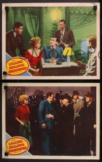 9g428 CALLING BULLDOG DRUMMOND 7 LCs 1951 Walter Pidgeon & Margaret Leighton, Scotland Yard!