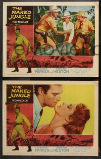 9g255 NAKED JUNGLE 8 LCs R1960 Charlton Heston & Eleanor Parker, produced by George Pal!