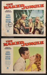 9g254 NAKED JUNGLE 8 LCs 1954 Charlton Heston & Eleanor Parker, produced by George Pal!