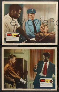 9g804 NO WAY OUT 3 LCs 1950 Linda Darnell & Sidney Poitier, bigoted Richard Widmark!