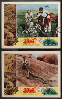 9g472 SERENGETI 7 LCs 1960 savage Africa in the raw, cool animal images and great border art!