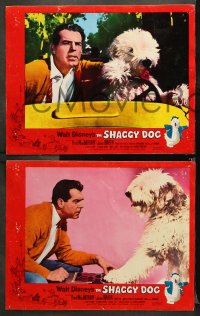 9g473 SHAGGY DOG 7 LCs 1959 Disney, Fred MacMurray in the funniest sheep dog story ever told!
