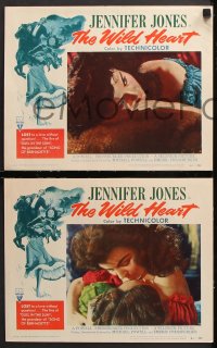 9g746 WILD HEART 4 LCs 1952 Jennifer Jones' fox has Gone to Earth, Powell & Pressburger!