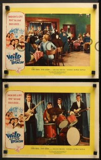 9g651 WILD ON THE BEACH 5 LCs 1965 Frankie Randall, Sherry Jackson, Sonny & Cher, teen rock & roll!
