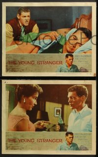 9g413 YOUNG STRANGER 8 LCs 1957 first John Frankenheimer, troubled teen James MacArthur!