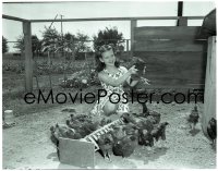 9h085 JOAN CARROLL group of 6 4x5 negatives 1943 the cute child actress working on a farm!