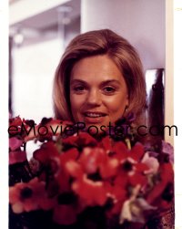 9h201 BOB & CAROL & TED & ALICE 4x5 transparency 1969 smiling portrait of Dyan Cannon with flowers!