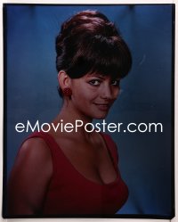 9h007 CLAUDIA CARDINALE 16x20 transparency 1960s sexy head & shoulders portrait showing cleavage!