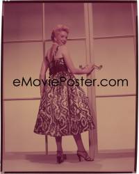 9h112 DEBORAH KERR 8x10 camera original transparency 1950s Paramount portrait in dress by big doors!