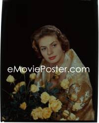 9h124 INGRID BERGMAN 8x10 transparency 1950s great close up by yellow roses wearing pearls!