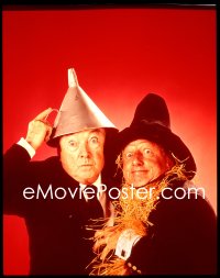 9h194 MAKING OF WIZARD OF OZ group of 2 4x5 transparencies 1979 Margaret Hamilton, Haley, Bolger
