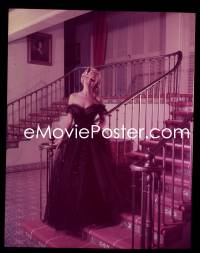 9h221 MARILYN MONROE 4x5 transparency 1960s the legendary star full-length in formal gown on stairs!