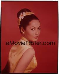 9h133 NANCY KWAN 8x10 transparency 1960s c/u of the beautiful Asian actress with flower in hair!