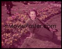 9h223 NATALIE WOOD 4x5 transparency 1960s pretty outdoor portrait sitting on grass by flowers!