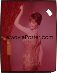 9h136 NATALIE WOOD 8x10 transparency 1962 super sexy portrait unzipping her dress from Gypsy!