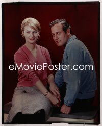 9h001 PAUL NEWMAN/JOANNE WOODWARD 16x20 transparency 1960s the legendary Hollywood husband & wife!
