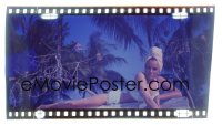 9h260 THUNDERBALL 3x5 transparency 1965 sexiest portrait of Luciana Paluzzi in swimsuit & towel!