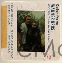 9h306 EVERY WHICH WAY BUT LOOSE group of 21 35mm slides 1978 Clint Eastwood & Clyde the orangutan!