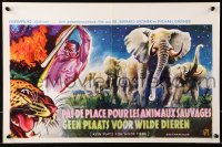 9p351 BAMBUTI Belgian 1959 untamed Africa, a fantastic fight for life never before filmed!