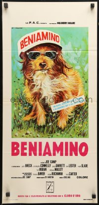 9p657 BENJI Italian locandina 1975 classic dog movie, different Ezio Tarantelli art w/ pink title!