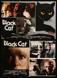 9p755 BLACK CAT group of 6 Italian 18x26 pbustas 1980 Lucio Fulci's Il Gatto Nero, cool feline horror art!