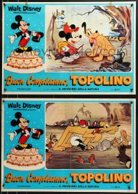 9p764 MICKEY MOUSE JUBILEE SHOW group of 3 Italian 18x26 pbustas 1979 Walt Disney, Mickey & Goofy!