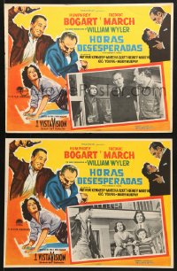 9t303 DESPERATE HOURS 5 Mexican LCs 1955 Fredric March, Martha Scott, William Wyler, Bogart in border!