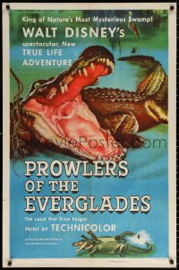 9w706 PROWLERS OF THE EVERGLADES 1sh 1953 Disney's spectacular True Life alligator adventure, rare!
