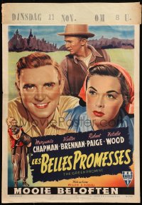 9z681 GREEN PROMISE Belgian 1949 Marguerite Chapman, Walter Brennan, Robert Paige & Natalie Wood!