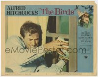 1a295 BIRDS LC #6 1963 Hitchcock, close up of Rod Taylor trying to keep them from coming in window!