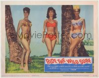 1a775 RIDE THE WILD SURF LC 1964 portrait of Barbara Eden, Shelley Fabares & Susan Hart in bikinis!