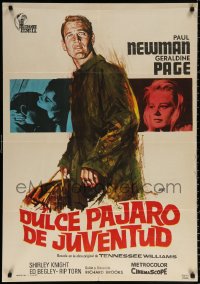1b558 SWEET BIRD OF YOUTH Spanish R1972 Paul Newman, Geraldine Page, from Tennessee Williams' play!