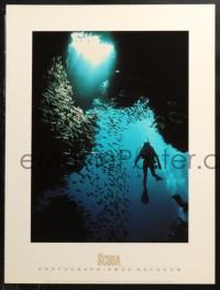 1c451 UNDERWATER 5 18x24 special poster 1990s spotted dolphins, a great barracuda, anemones, & more!