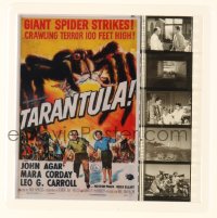 1d247 TARANTULA English film strip collectible 2000s cool poster art + movie scenes!