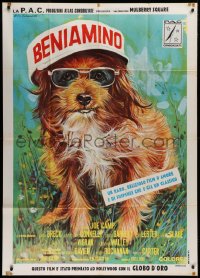 1j718 BENJI Italian 1p 1975 Joe Camp classic dog movie, great different Ezio Tarantelli art!