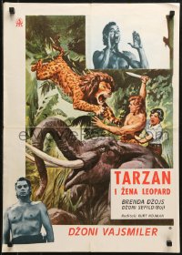 1p502 TARZAN & THE LEOPARD WOMAN Yugoslavian 20x28 1960s art of Johnny Weissmuller fighting lion!