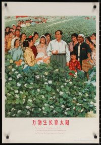 1r341 CHINESE PROPAGANDA POSTER Mao cotton 21x30 Chinese special poster 1986 cool art!