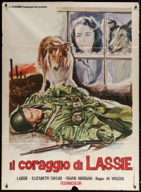 1s452 COURAGE OF LASSIE Italian 1p R1960s art of Elizabeth Taylor & famous dog by fallen soldier!