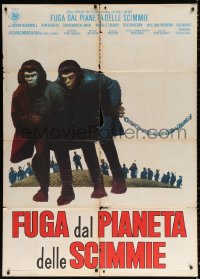 1s460 ESCAPE FROM THE PLANET OF THE APES Italian 1p 1971 different image of chained primates!