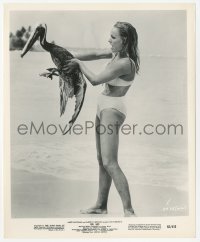 1t303 DR. NO 8.25x10 still 1962 sexy censored Ursula Andress in bikini holding pelican on beach!