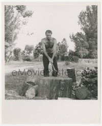 1t370 FRIENDLY PERSUASION 8.25x10 still 1956 great image of barechested Gary Cooper splitting wood!