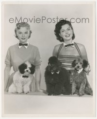 1t413 GREAT AMERICAN PASTIME deluxe 8x10 still 1956 Anne Francis, Ann Miller & dogs with bow ties!