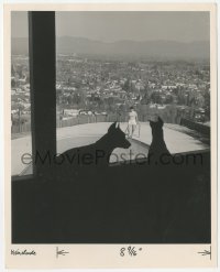 1t491 JANE RUSSELL deluxe 8x10 still 1949 her dogs watch her test the water in her swimming pool!
