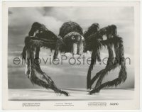1t901 TARANTULA 8x10.25 still 1955 great photographic close up of giant spider monster!
