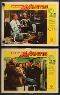 1w837 DEADLY MANTIS 2 LCs 1957 Craig Stevens, William Hopper, Alix Talton, Universal sci-fi horror!