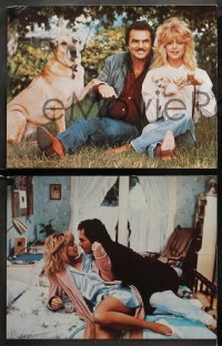1w449 BEST FRIENDS 6 color 11x14 stills 1982 great images of sexy Goldie Hawn & Burt Reynolds