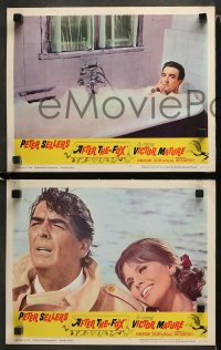 1w028 AFTER THE FOX 8 LCs 1966 De Sica's Caccia alla Volpe, Peter Sellers, Victor Mature!