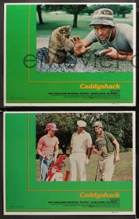 1w069 CADDYSHACK 8 int'l LCs 1980 Chevy Chase, Bill Murray, Dangerfield, Cindy Morgan, golf classic!