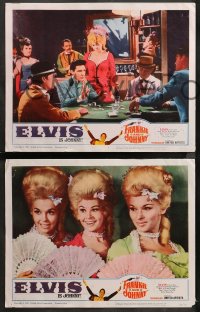 1w707 FRANKIE & JOHNNY 3 LCs 1966 Elvis Presley, Sue Ann Langdon, with cool gambling image!